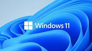 OEM Win Pro for Wrkstns 11 PL  x64     HZV-00117