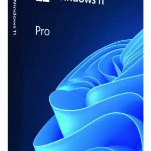 Windows Pro 11 64bit ENG USB Flash Drive Box HAV-00163